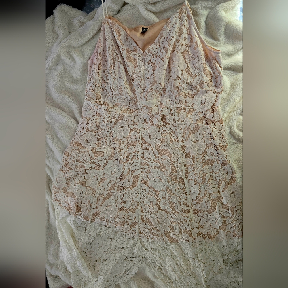 SHEIN Curve Lace Top in Cream and Pink